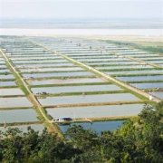 水池、魚塘、人工湖防滲工程案例